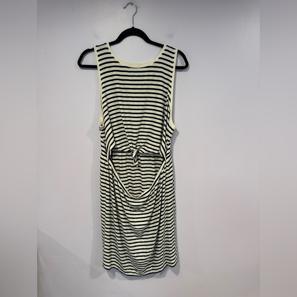 Striped Blue and White‎ Aerie Sleeveless Dress
